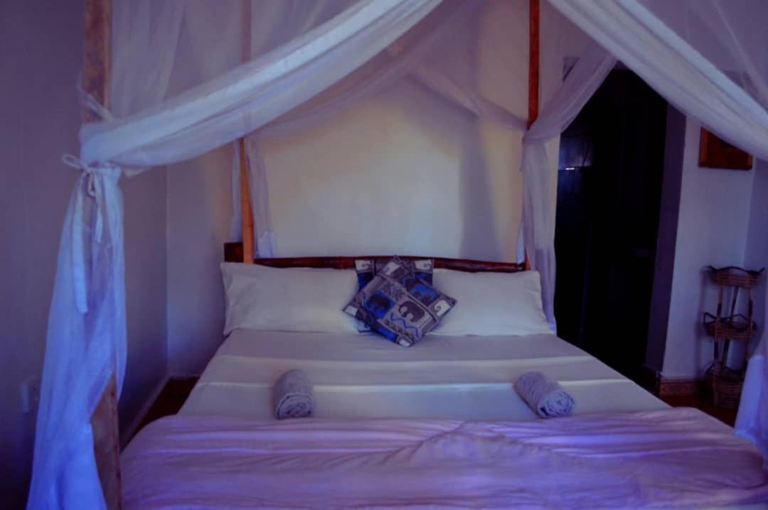 African hawk eagle Hostel