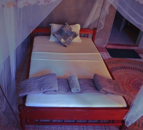 African hawk eagle Hostel image 3