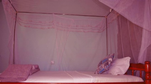 African hawk eagle Hostel image 5