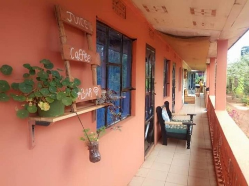 African hawk eagle Hostel image 6