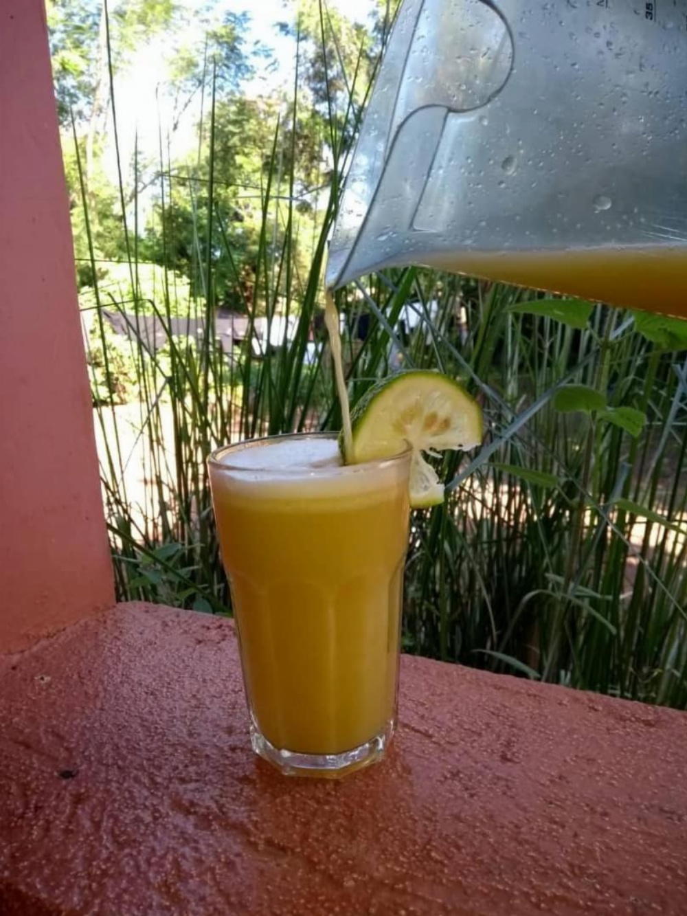 African hawk eagle Hostel Main image